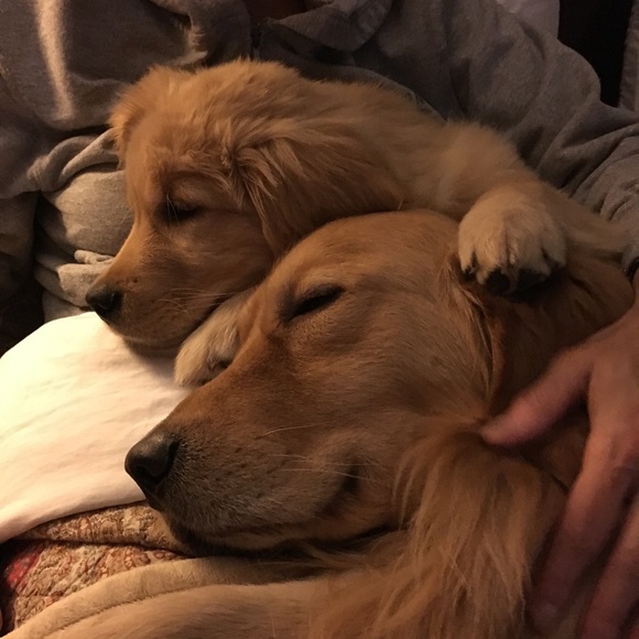 Meet your Posher, Christina - Picture 8 of 8